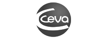 Ceva